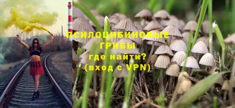 Галлюциногенные грибы Magic Shrooms Энем